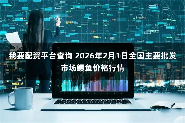 我要配资平台查询 2026年2月1日全国主要批发市场鳗鱼价格行情